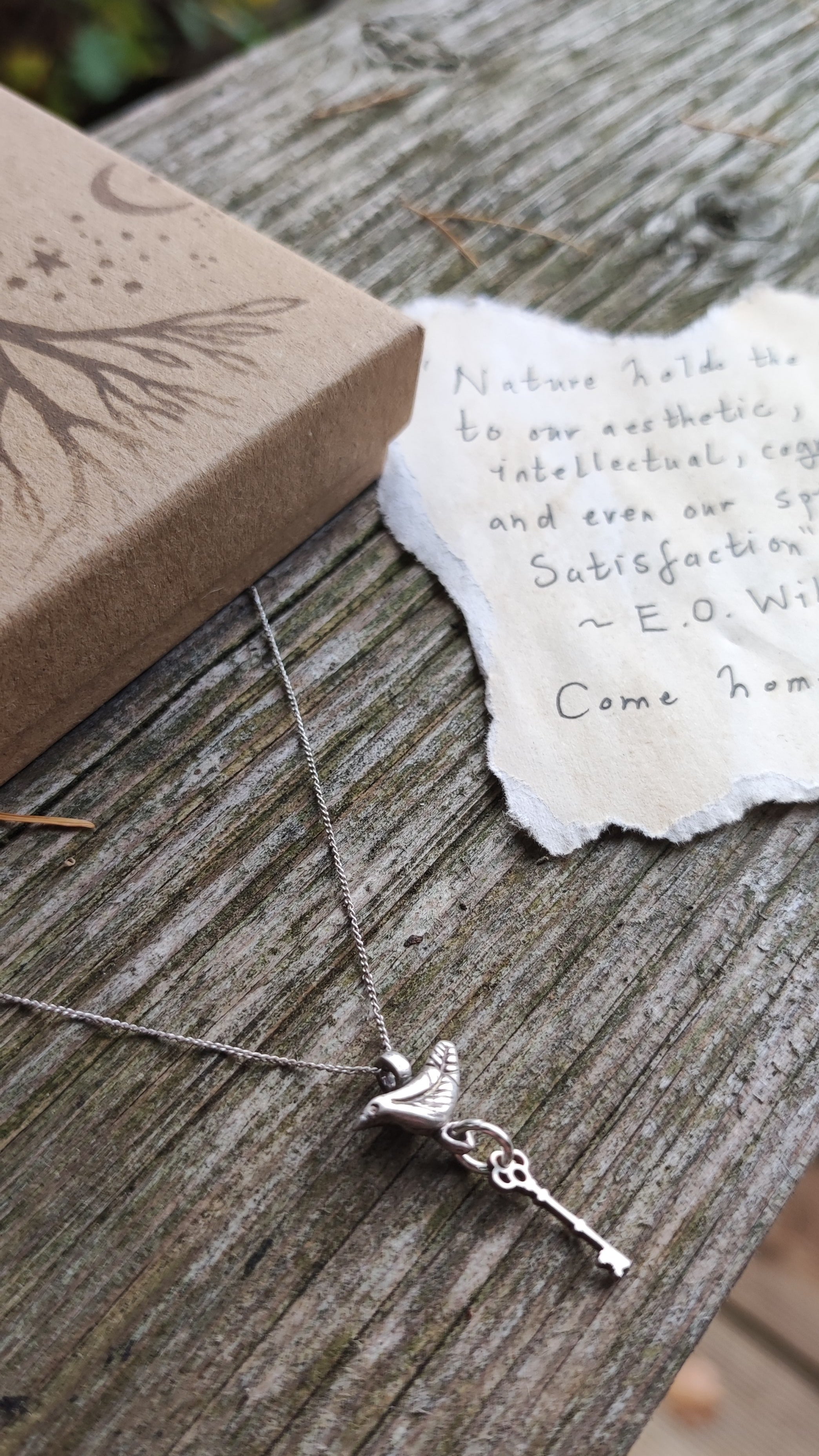 'Nature holds the Key' Silver pendant