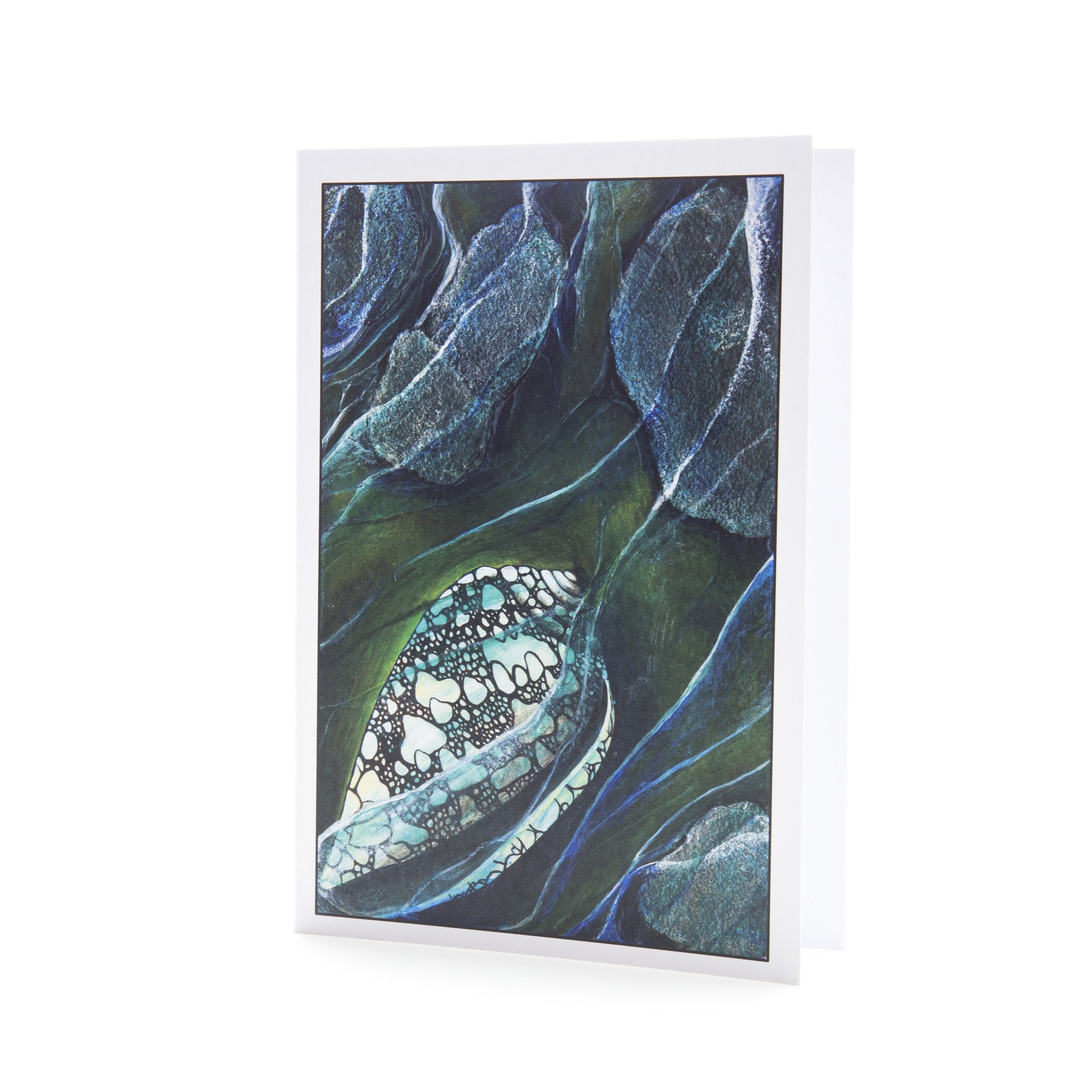 Hidden Treasure ~ Rockpool Shell ~ Greeting Card