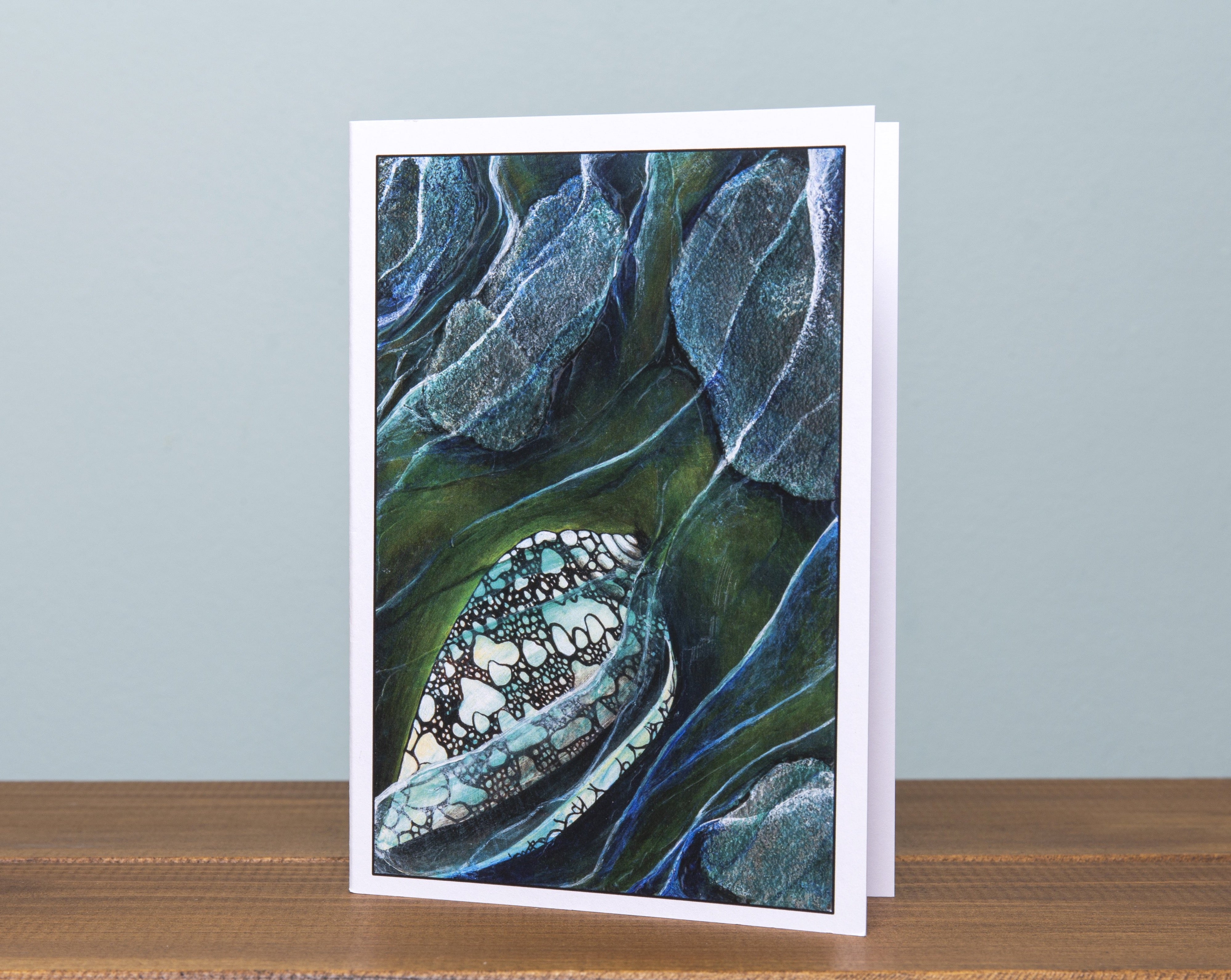Hidden Treasure ~ Rockpool Shell ~ Greeting Card