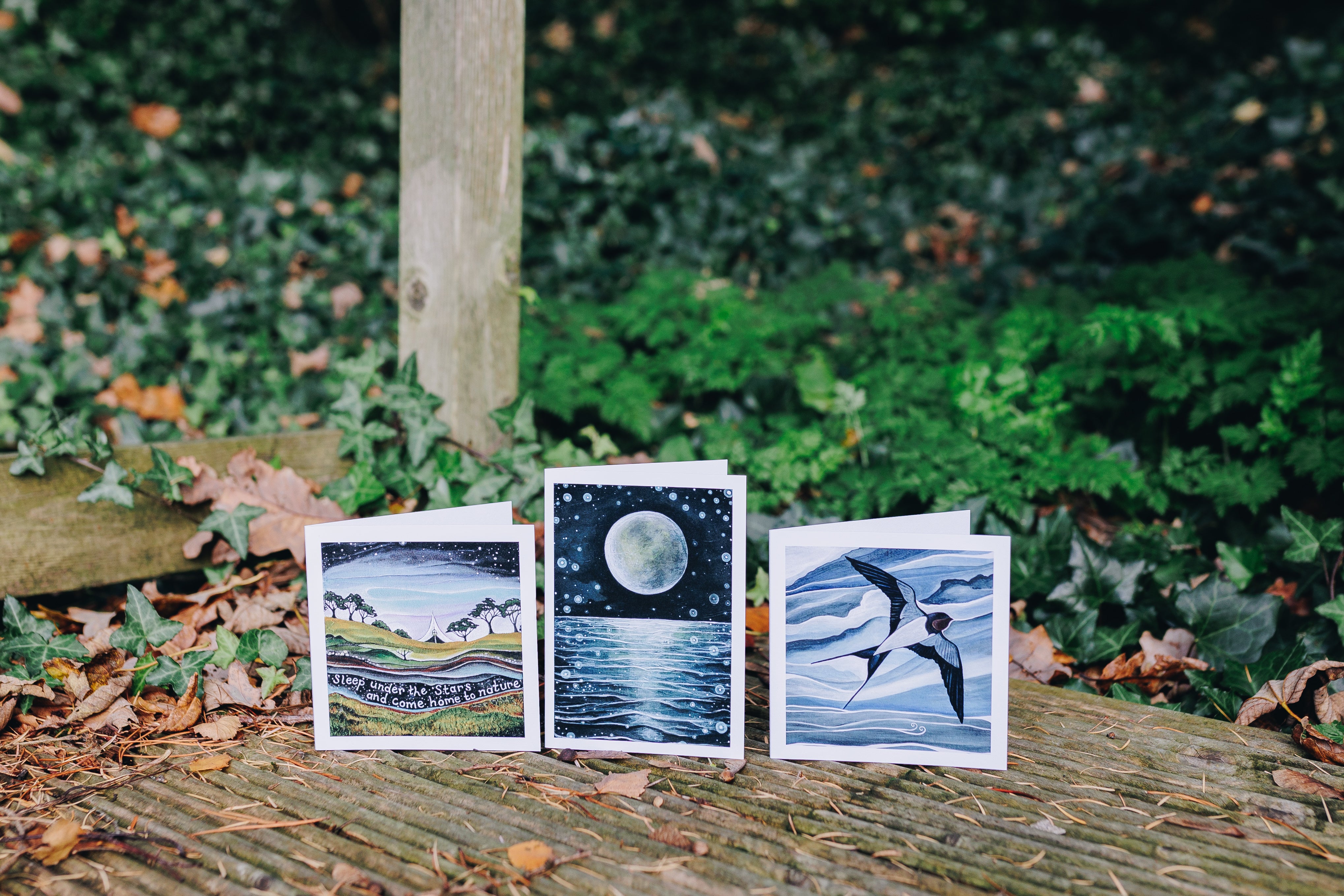 3 wild earth studio art cards in outdoor setting. Moon, swallow nature artist