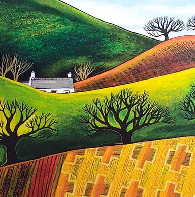 Across Blanket Fields rural Irish landscape, colourful artwork, drumlins