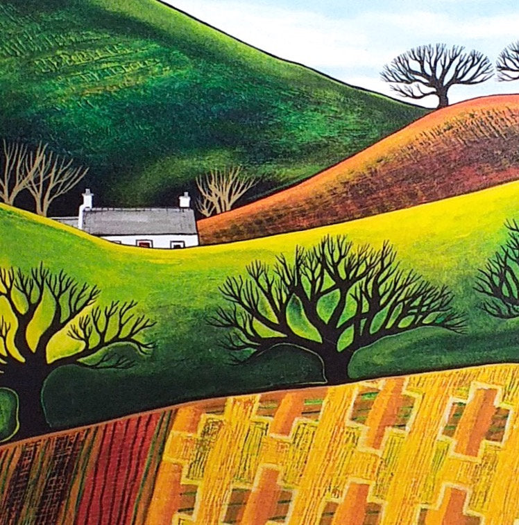 Across Blanket Fields rural Irish landscape, colourful artwork, drumlins