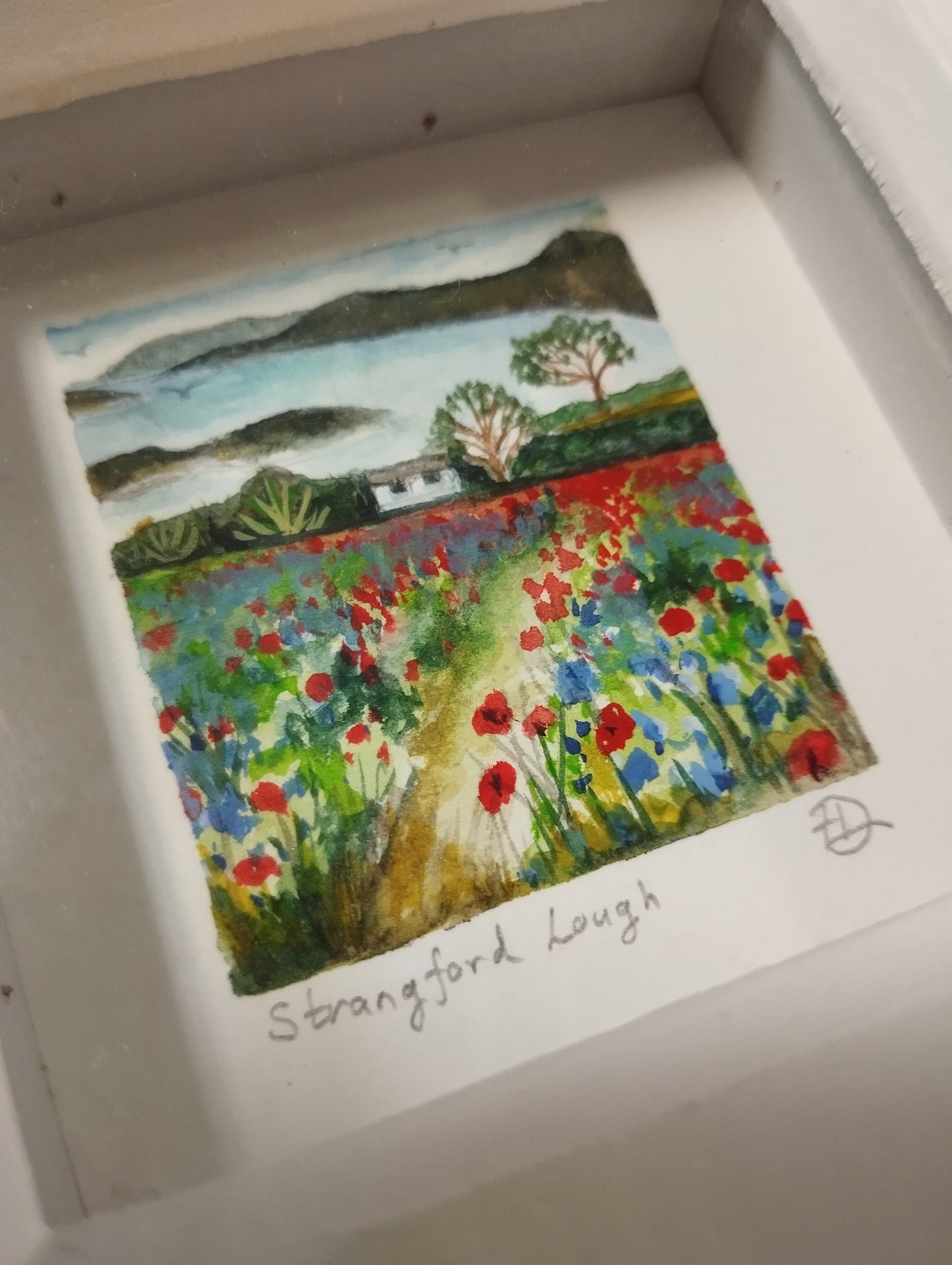 Strangford Lough- Mini Original