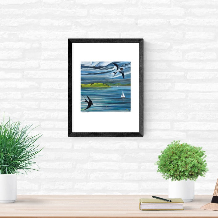 Swallows & Sails ~ Strangford Lough ~ Art Print